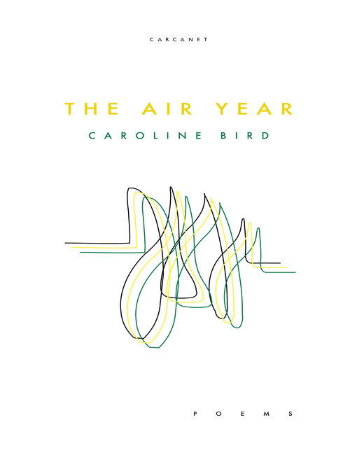 Cover image for The Air Year